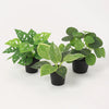 Kunstpflanzen-Set „Fensterbank Mini“ – Ufopflanze, Philodendron & Monkey Leaf – Set-Foto (mit KI generiert)