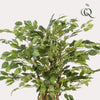 kunstplant - Ficus liana- Vioolbladplant - 140cm