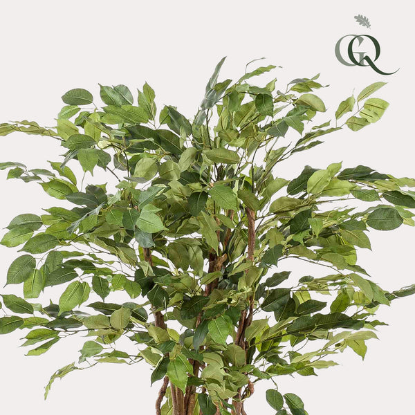 kunstplant - Ficus liana- Vioolbladplant - 140cm