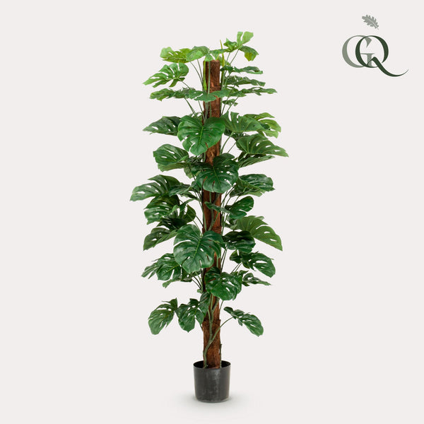 Kunstpflanze - Monstera Deliciosa - Löcherpflanze - 180 cm