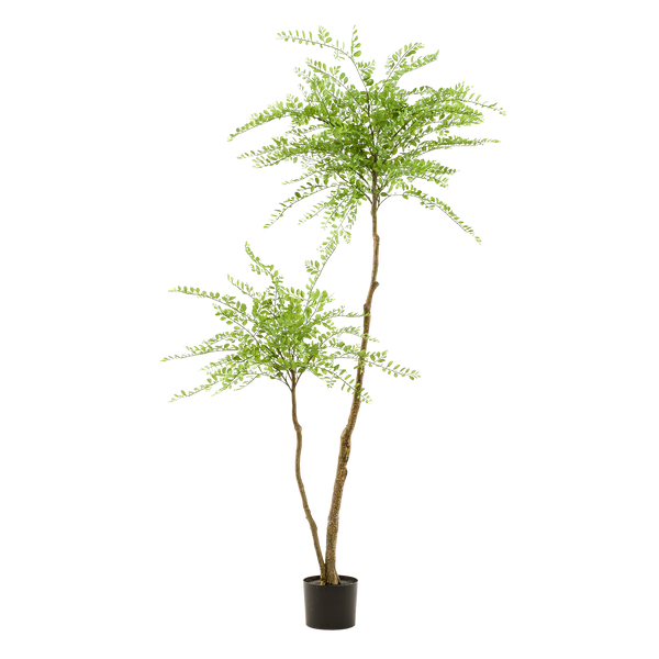 kunstplant - Sophora tree- Honingboom - 190cm