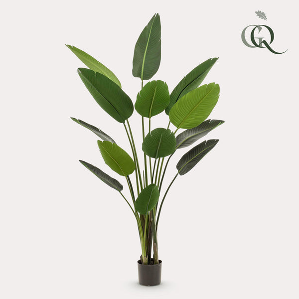 Kunstpflanze - Strelitzia Nicolai - Paradiesvogelblume - 190 cm