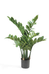Kunstpflanze - Zamioculcas - Zimmerpalme - 70 cm