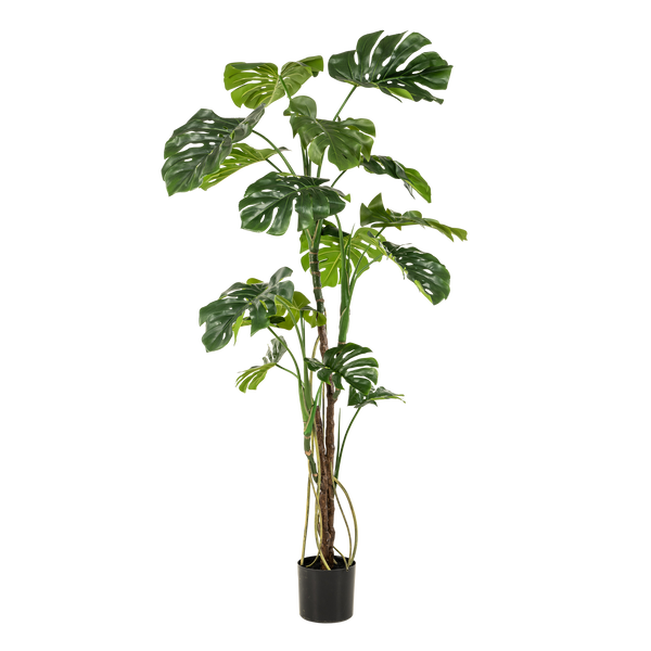 kunstplant - Monstera- Gatenplant - 180cm
