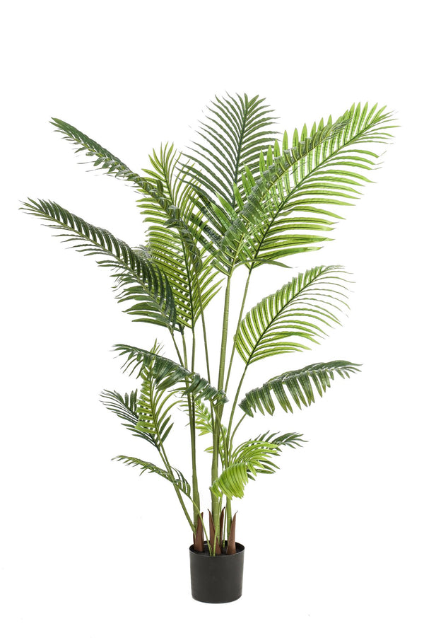 Kunstpflanze - Howea Forsteriana- 160 cm