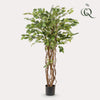 kunstplant - Ficus liana- Vioolbladplant - 140cm