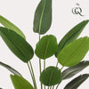 Kunstpflanze - Strelitzia Nicolai - Paradiesvogelblume - 190 cm