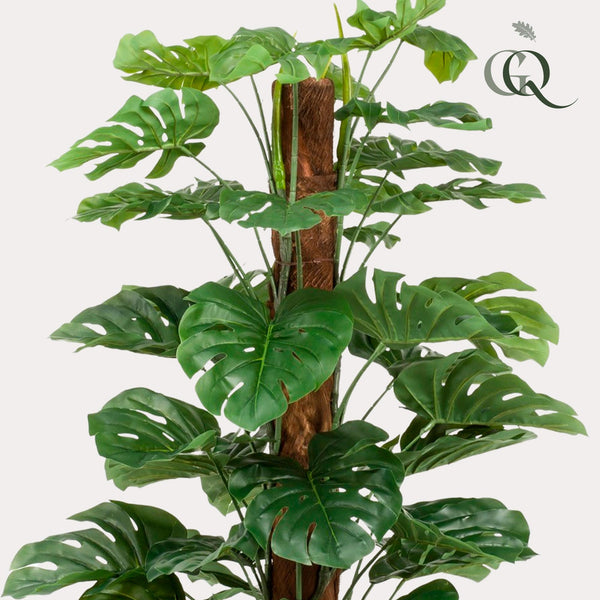 Kunstpflanze - Monstera Deliciosa - Löcherpflanze - 180 cm