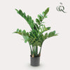 Kunstpflanze - Zamioculcas - Zimmerpalme - 70 cm