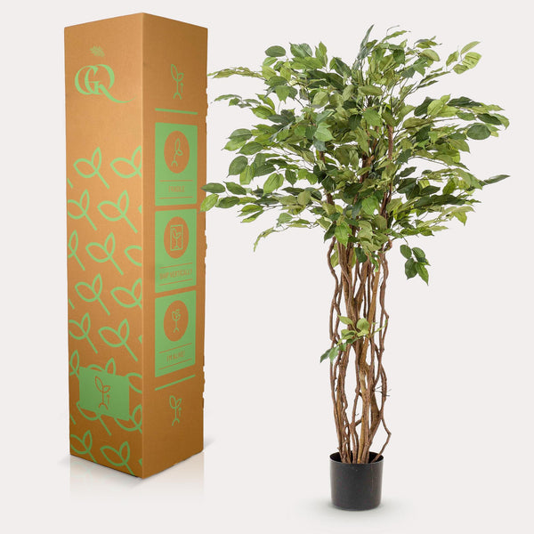 kunstplant - Ficus liana- Vioolbladplant - 140cm
