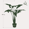 Kunstpflanze - Alocasia Frydek - 120 cm