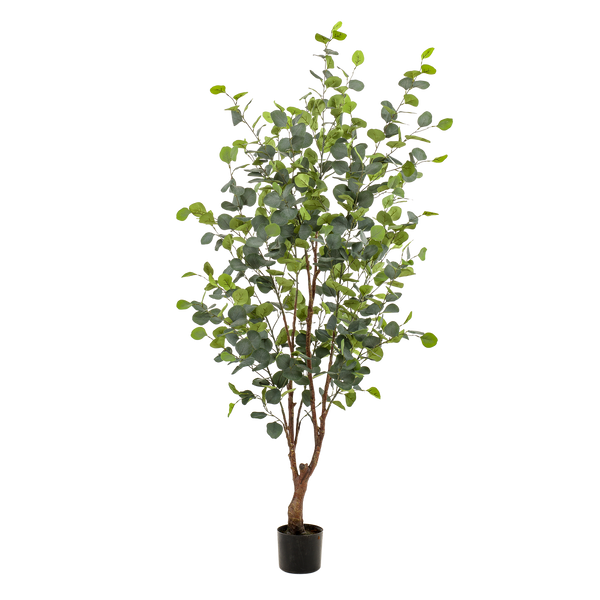 Kunstpflanze - Eucalyptusbaum - Blauer Gummibaum - 140 cm