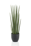 Kunstpflanze - Sansevieria Cylindrica - Frauenzunge - 70 cm