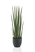 Kunstpflanze - Sansevieria Cylindrica - Frauenzunge - 70 cm