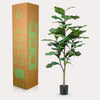 Kunstpflanze - Ficus Lyrata - Tabakspflanze - 120 cm