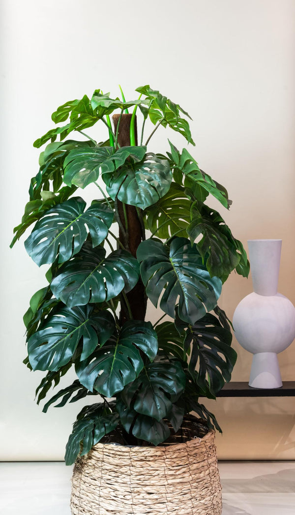 Kunstpflanze - Monstera Deliciosa - Löcherpflanze - 180 cm