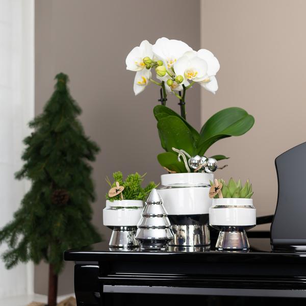 Kolibri Home | Ornament - Dekoration Bild Weihnachtsbaum - Silver