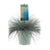 Blau-Schwingel – Festuca glauca 'Intense Blue' – ↕ 50 cm – Ø 23 cm
