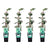 4x Efeu – Hedera algeriensis Gloire de Maren – ↕ 65 cm – Ø 15 cm