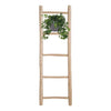 Efeu - Hedera Helix Groen - ↕ 17 cm - Ø 17 cm | Hängetopf Wit / Basic
