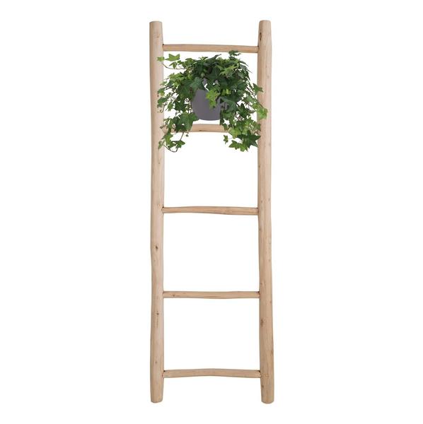 Efeu - Hedera Helix Groen - ↕ 17 cm - Ø 17 cm | Hängetopf Wit / Basic