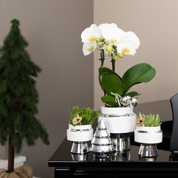 Kolibri Home | Ornament - Dekoration Bild Weihnachtsbaum - White