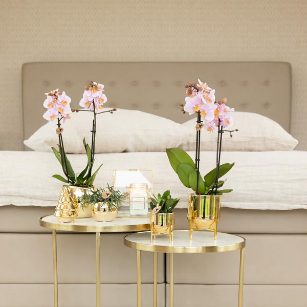 Kolibri Home | Ornament - Dekoration Bild Weihnachtsbaum - Gold