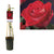 Kletterrose – Rosa 'Red Climber' +light Label – ↕ 65 cm – Ø 15 cm