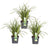3x Segge – Carex morrowii 'Ice Dance' – ↕ 30 cm – Ø 14 cm