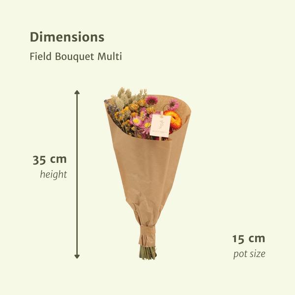 Getrocknete Blumen - 12x Field Bouquet Multi - 35cm - Ø15