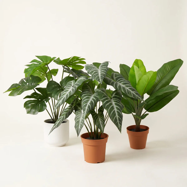 Kunstpflanzen-Set „Dschungel“ – Monstera, Alocasia & Philodendron – Set-Foto (mit KI generiert)