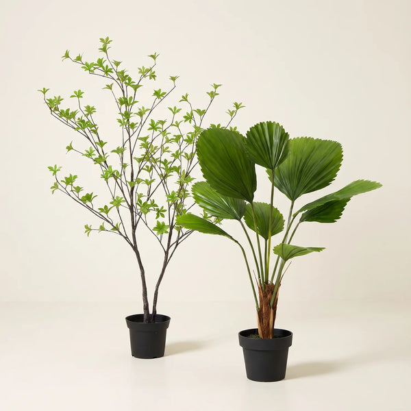 Kunstpflanzen-Duo „XL“ – Licuala-Palme & Kapuzinerkresse 110 cm – Set-Foto (mit KI generiert)