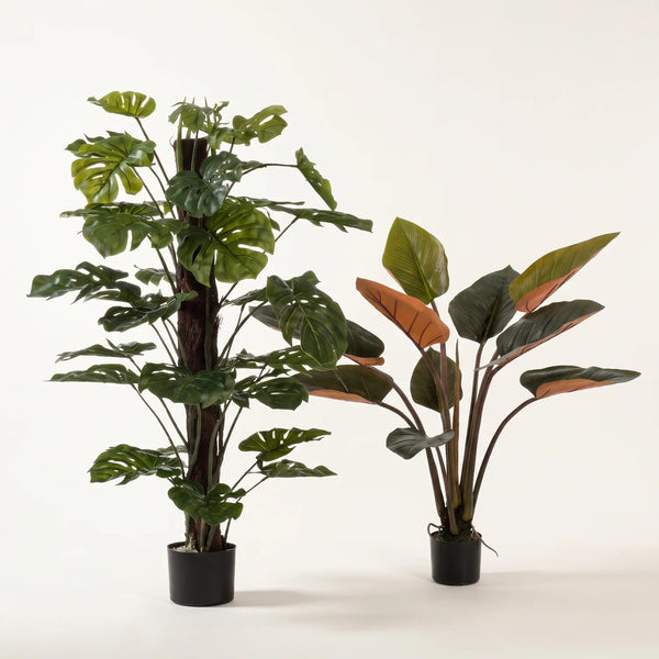 Kunstpflanzen-Duo – Monstera & Philodendron 120 cm – Set-Foto (mit KI generiert)