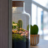 Flaschengarten-Set „Love Mom Little Milky“ – DIY-Terrarium mit graviertem Korken und Licht – Ansicht 7