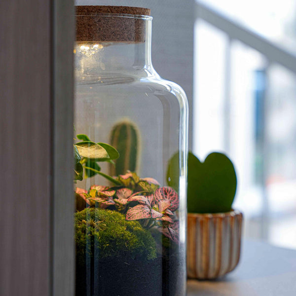 Flaschengarten-Set „Love Mom Little Milky“ – DIY-Terrarium mit graviertem Korken und Licht – Ansicht 7