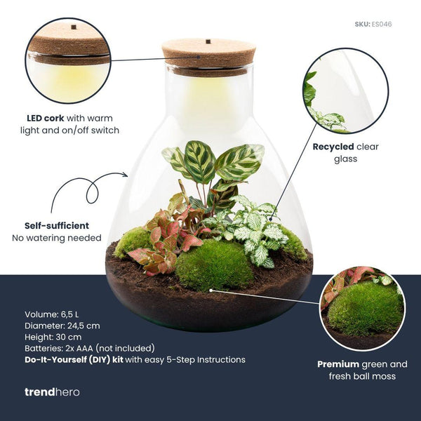 Flaschengarten-Set „Sam Calathea" – DIY-Terrarium mit Lampe und Calathea – Ansicht 3