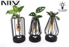 Glas-Set „Turin" – Pflanzenmix im Glas mit LED