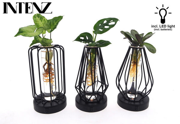 Glas-Set „Turin" – Pflanzenmix im Glas mit LED