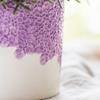 Orchidee ‚Freeride Niagara Falls' – Phalaenopsis – Ansicht 3