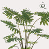 Kunstpflanze - Philodendron - 80 cm