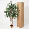 Kunstpflanze Ficus Exotica – Ansicht 6