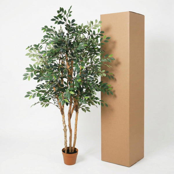 Kunstpflanze Ficus Exotica – Ansicht 6