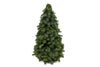 Nobilis-Kranz – Abies procera
