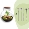 Flaschengarten-Set „Teddy Bonsai" – DIY-Terrarium mit Licht und Bonsai