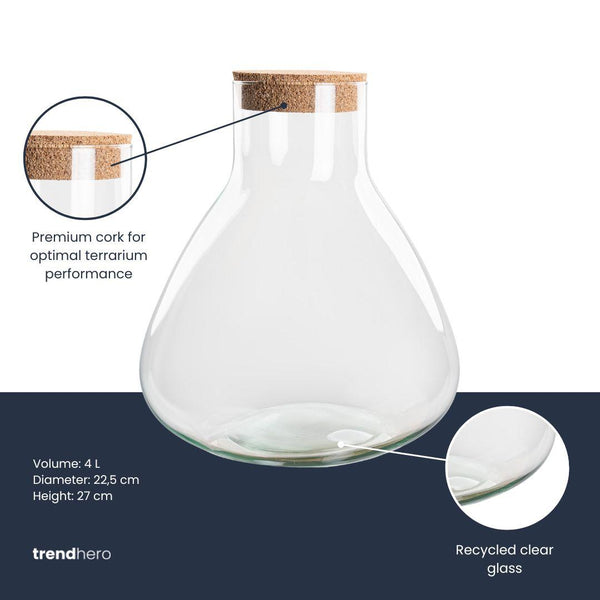 Flaschengarten-Terrarium „Sammie" – Glasflasche mit Korken