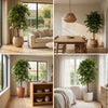 Kunstpflanze Ficus Deluxe Vine – Ansicht 5