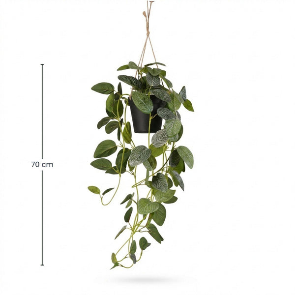 Kunstpflanze Fittonia hängend im Topf – Ansicht 4