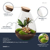 Flaschengarten-Set „Drop XL Palm" – DIY-Terrarium mit Palme – Ansicht 2