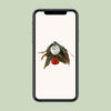 Forellenbegonie – Begonia maculata – Ansicht 4