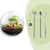 Flaschengarten-Set „Dome" – DIY-Terrarium im Kugelglas